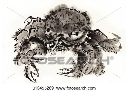 Horsehair Crab, Ink Brush Paintin View Large Illustration Stock Illustration - Horsehair Crab, Ink Brush Paintin. Fotosearch
