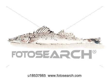 Stock Illustration - Megochi, Ink Brush Painting. Fotosearch