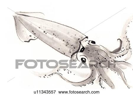 Sagittated Calamary, Ink Brush Painting View Large Illustration Stock Illustration - Sagittated Calamary, Ink Brush Painting. Fotosearch