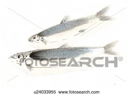 Stock Illustration - Sardine, Ink Brush Painting. Fotosearch