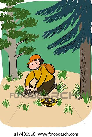 Mid Adult Woman Sitting and Picking Up Mushroom Alone in Mountain, Three Quarter Length View Large Illustration Stock Illustration - Mid Adult Woman Sitting and Picking Up Mushroom Alone in Mountain, Three Quarter Length . Fotosearch
