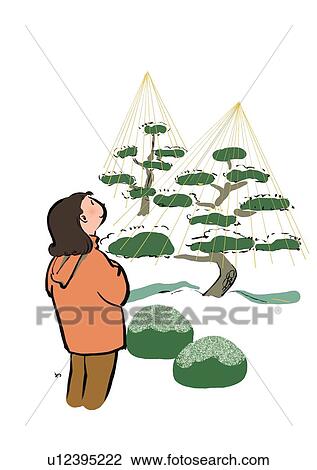 Mid Adult Woman Standing and Watching Pine Tree in Yukituri View Large Illustration Drawing - Mid Adult Woman Standing and Watching Pine Tree in Yukituri. Fotosearch