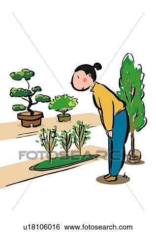 Stock Illustration - Mid Adult Woman Standing and Watching Dwarf Trees at Dwarf Trees' Market. Fotosearch