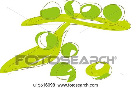 Stock Illustration - Field Pea, Illustrative Technique. Fotosearch