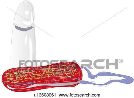 Clip Art - Water Bottle and Coer, Illustrative Technique. Fotosearch