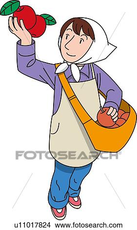 Woman Who Harvests Apples, High Angle View, Illustrative Technique View Large Illustration Stock Illustration - Woman Who Harvests Apples, High Angle View, Illustrative Technique. Fotosearch