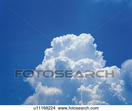 Picture - Blue sky and Clouds, Low angle view. Fotosearch