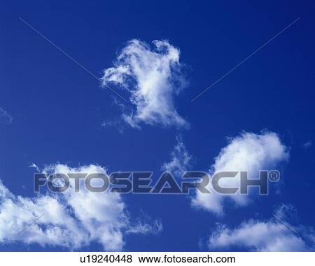 Blue sky and Clouds, Low angle view View Large Photo Image Stock Photo - Blue sky and Clouds, Low angle view. Fotosearch