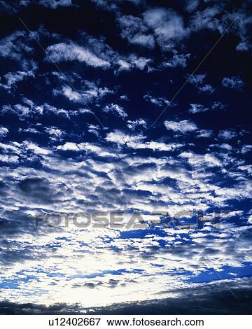 Stock Photo - Blue sky and Clouds(Mackerel sky), Low angle view, Full frame. Fotosearch