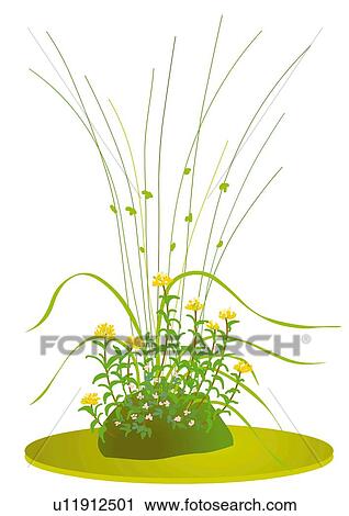 Clip Art - Close up of a grass bonsai, front view, Japan. Fotosearch