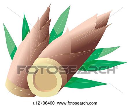 Clipart - Bamboo Shoots with leaf. Fotosearch