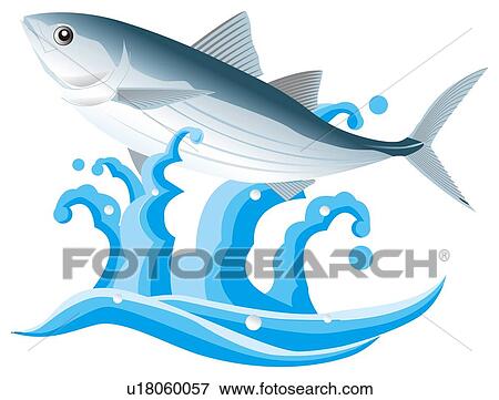Stock Illustration - Bonito and surf. Fotosearch