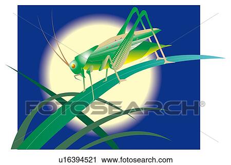 Grasshopper on leaf, full moon View Large Illustration Clip Art - Grasshopper on leaf, full moon. Fotosearch