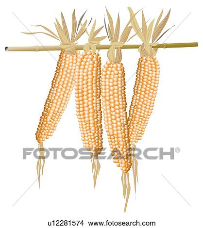 Stock Illustration - Hanging Corns. Fotosearch