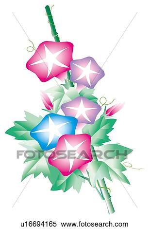 Morning Glories View Large Illustration Stock Illustration - Morning Glories . Fotosearch