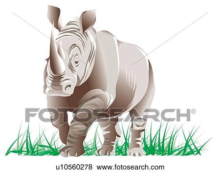 Stock Illustration - Black rhinoceros walking on grass, front view. Fotosearch
