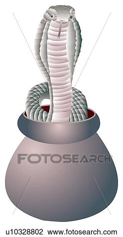 Drawing - Cobra creeping out of pot, front view. Fotosearch