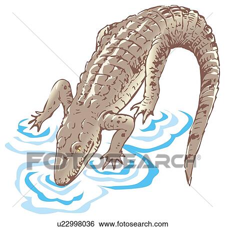 Stock Illustration - Crocodile in water, high angle view. Fotosearch