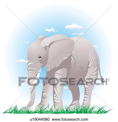 Clipart - Elephant standing on grass, low angle view. Fotosearch