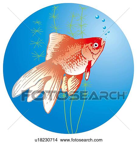 Fantail fish in water, side view View Large Illustration Stock Illustration - Fantail fish in water, side view. Fotosearch