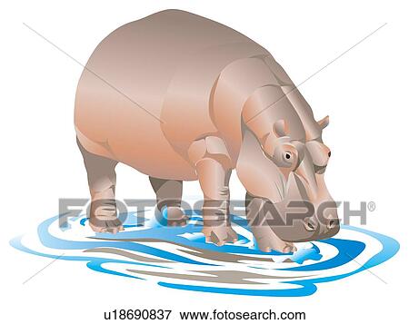 Stock Illustration - Hippopotamus drinking water, side view. Fotosearch