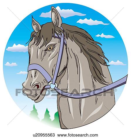 Drawing - Horse wearing bridle, side view. Fotosearch