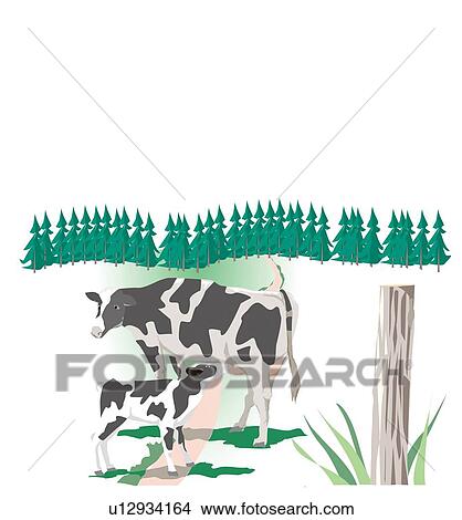 Mother cow suckling a calf in ranch Stock Illustration | u12934164