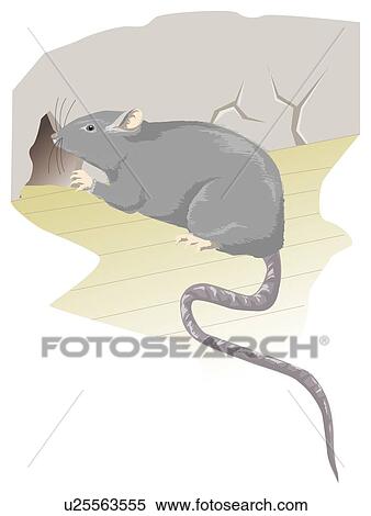 Stock Illustration - Mouse in front of rat hole of wall. Fotosearch