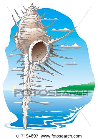 Murex and ocean view View Large Illustration Stock Illustration - Murex and ocean view. Fotosearch