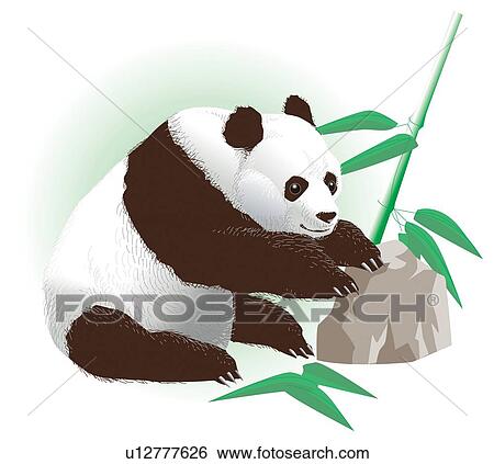 Panda and bamboo leaves, side view View Large Illustration Stock Illustration - Panda and bamboo leaves, side view. Fotosearch