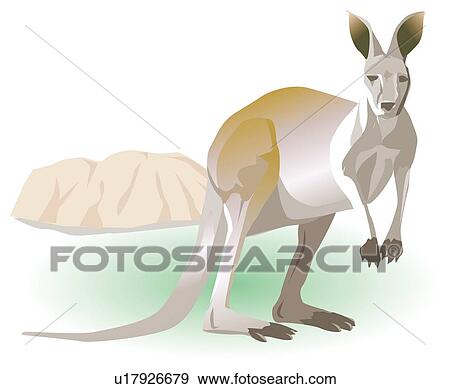 Portrait of kangaroo, side view View Large Illustration Stock Illustration - Portrait of kangaroo, side view. Fotosearch