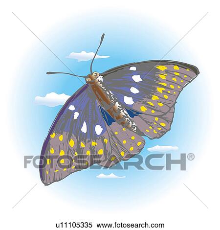 Purple butterfly flying in the air, low angle view View Large Illustration Stock Illustration - Purple butterfly flying in the air, low angle view. Fotosearch