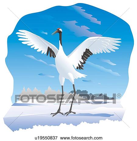 Red crested white crane spreading its wings out in snow scene, front view View Large Illustration Stock Illustration - Red crested white crane spreading its wings out in snow scene, front view. Fotosearch