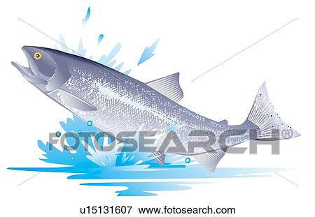 Stock Illustration - Salmon jumping out of water, side view. Fotosearch
