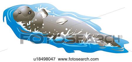 Stock Illustration - Sea otter holding and breaking sea shells, floating on water, high angle view. Fotosearch