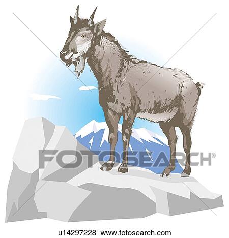 Serow standing on the rock, side view View Large Illustration Stock Illustration - Serow standing on the rock, side view. Fotosearch