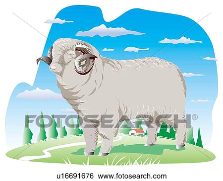 Sheep standing in pasture View Large Illustration Stock Illustration - Sheep standing in pasture. Fotosearch