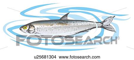 Smelt in water, side view View Large Illustration Stock Illustration - Smelt in water, side view. Fotosearch