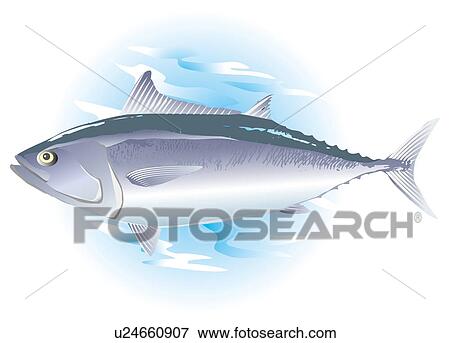 Tuna in water, side view View Large Illustration Stock Illustration - Tuna in water, side view. Fotosearch