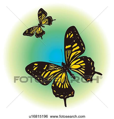 Stock Illustration - Two black swallowtail butterflies. Fotosearch
