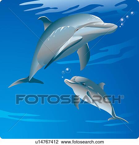 Two bottle-nosed Dolphins in water, low angle view View Large Illustration Drawing - Two bottle-nosed Dolphins in water, low angle view. Fotosearch