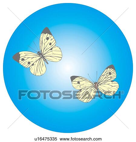Two flying butterflies, circle frame View Large Illustration Stock Illustration - Two flying butterflies, circle frame. Fotosearch