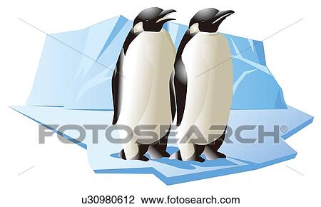 Two penguins standing side by side, side view View Large Illustration Drawing - Two penguins standing side by side, side view. Fotosearch