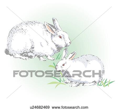 Stock Illustration - Two rabbit eating grass . Fotosearch