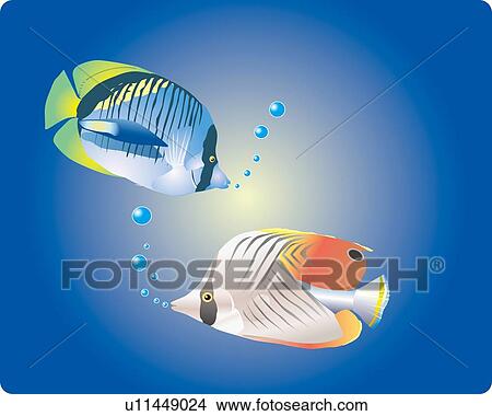 Stock Illustration - Two tropical fishes in water, side view. Fotosearch