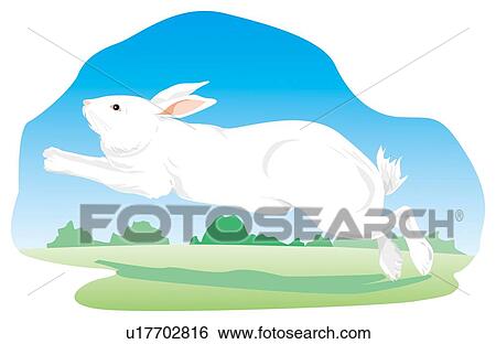 White rabbit jumping in pasture, side view View Large Illustration Stock Illustration - White rabbit jumping in pasture, side view. Fotosearch