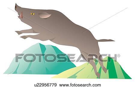 Stock Illustration - Wild boar jumping to air, side view. Fotosearch