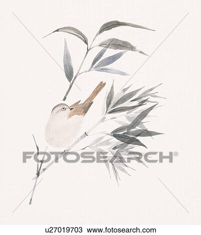 A sparrow and bamboo leaves View Large Illustration Drawing - A sparrow and bamboo leaves. Fotosearch