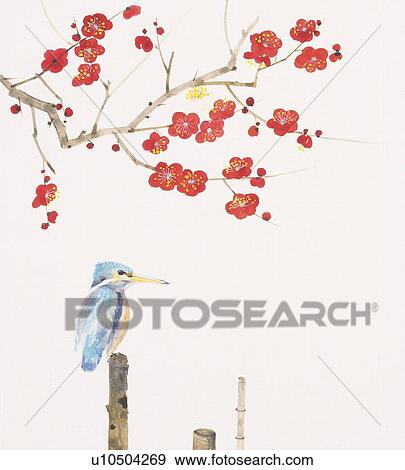 A tree kingfisher perching on tip of wooden stick, under branch of plum tree View Large Illustration Stock Illustration - A tree kingfisher perching on tip of wooden stick, under branch of plum tree. Fotosearch