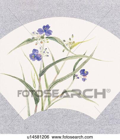 Stock Illustration - Dayflower inside fan shaped frame. Fotosearch